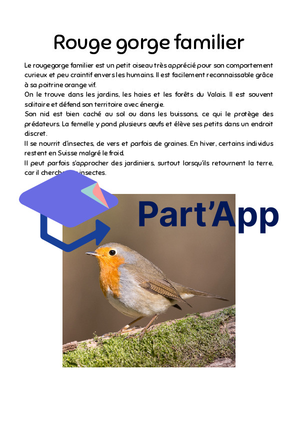 Informations sur les oiseaux Parcours_8