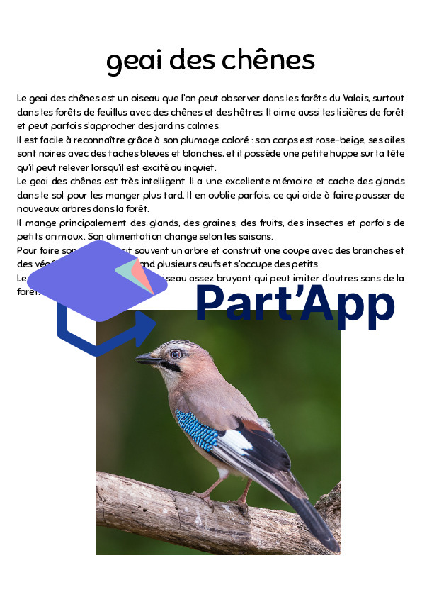 Informations sur les oiseaux Parcours_9
