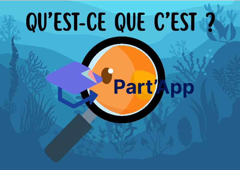 Jeu de Cartes Flashcards "Qu'est-ce que c'est ?" – Thème de la Mer et de l'Océan_2