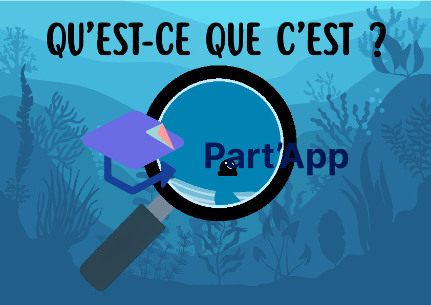 Jeu de Cartes Flashcards "Qu'est-ce que c'est ?" – Thème de la Mer et de l'Océan_3