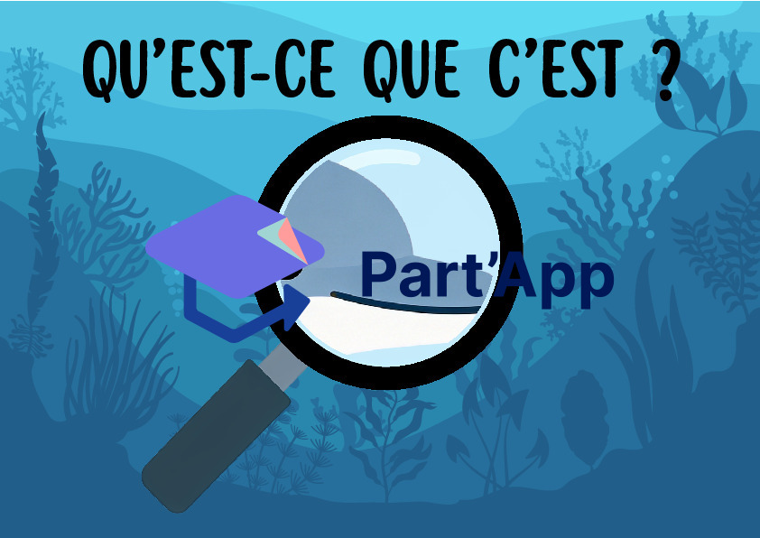 Jeu de Cartes Flashcards "Qu'est-ce que c'est ?" – Thème de la Mer et de l'Océan_5