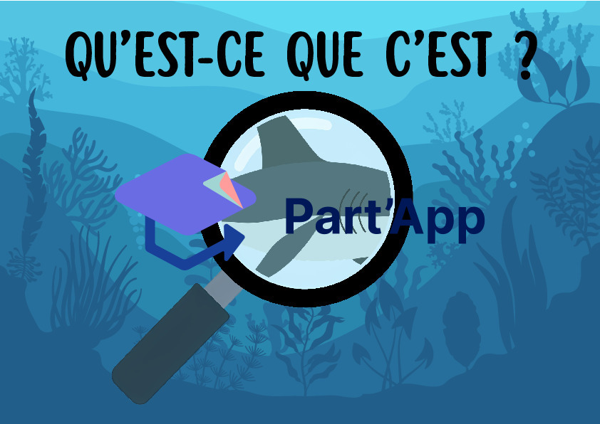 Jeu de Cartes Flashcards "Qu'est-ce que c'est ?" – Thème de la Mer et de l'Océan_6