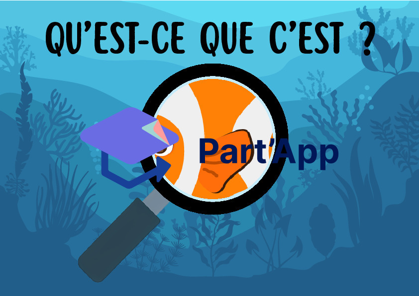 Jeu de Cartes Flashcards "Qu'est-ce que c'est ?" – Thème de la Mer et de l'Océan_7