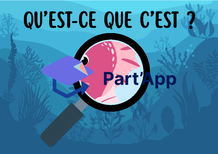 Jeu de Cartes Flashcards "Qu'est-ce que c'est ?" – Thème de la Mer et de l'Océan_8