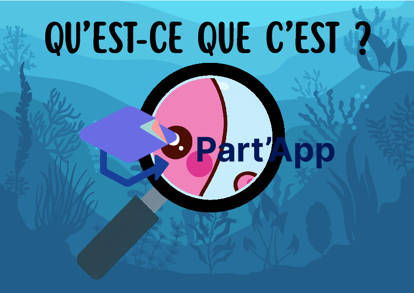 Jeu de Cartes Flashcards "Qu'est-ce que c'est ?" – Thème de la Mer et de l'Océan_9