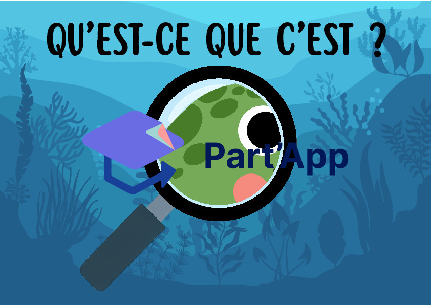 Jeu de Cartes Flashcards "Qu'est-ce que c'est ?" – Thème de la Mer et de l'Océan_10