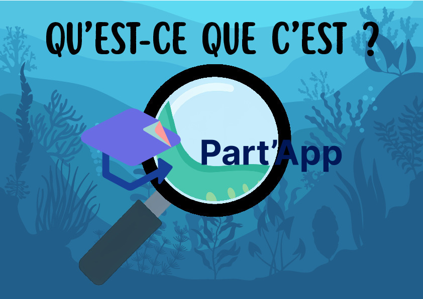 Jeu de Cartes Flashcards "Qu'est-ce que c'est ?" – Thème de la Mer et de l'Océan_11