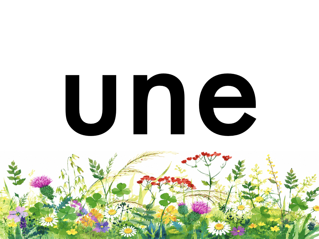 3P Mots fréquents_12