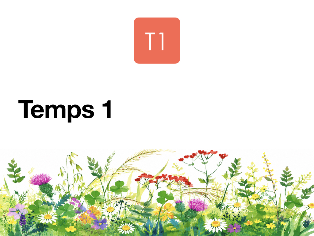3P Mots fréquents_3