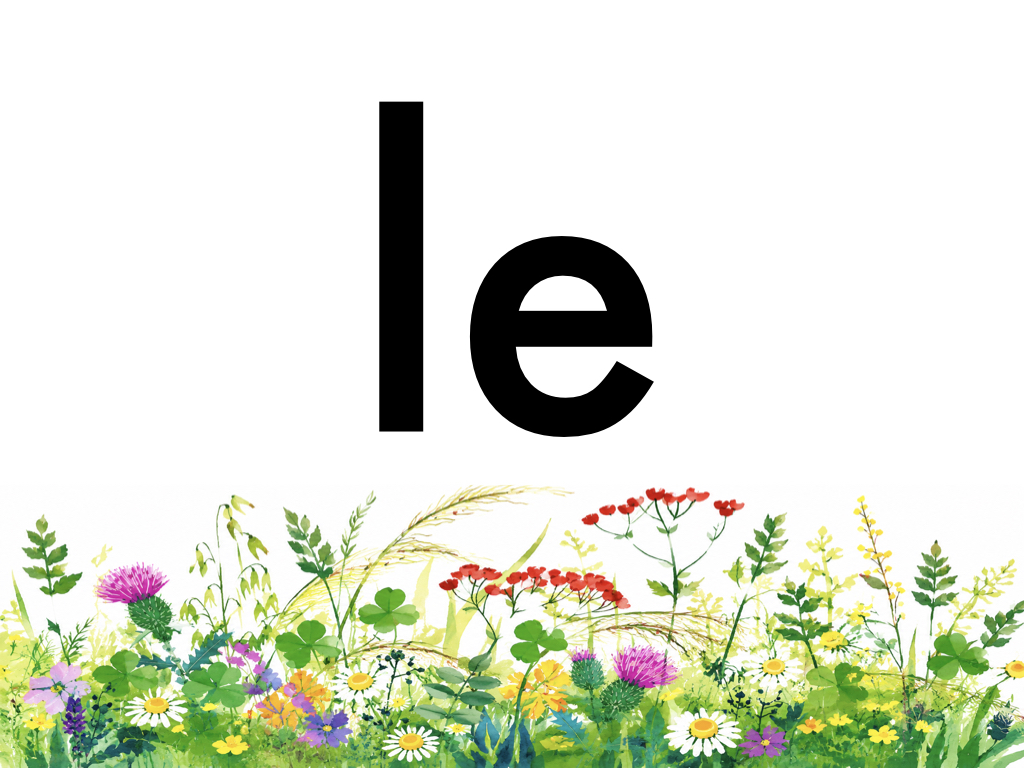 3P Mots fréquents_4