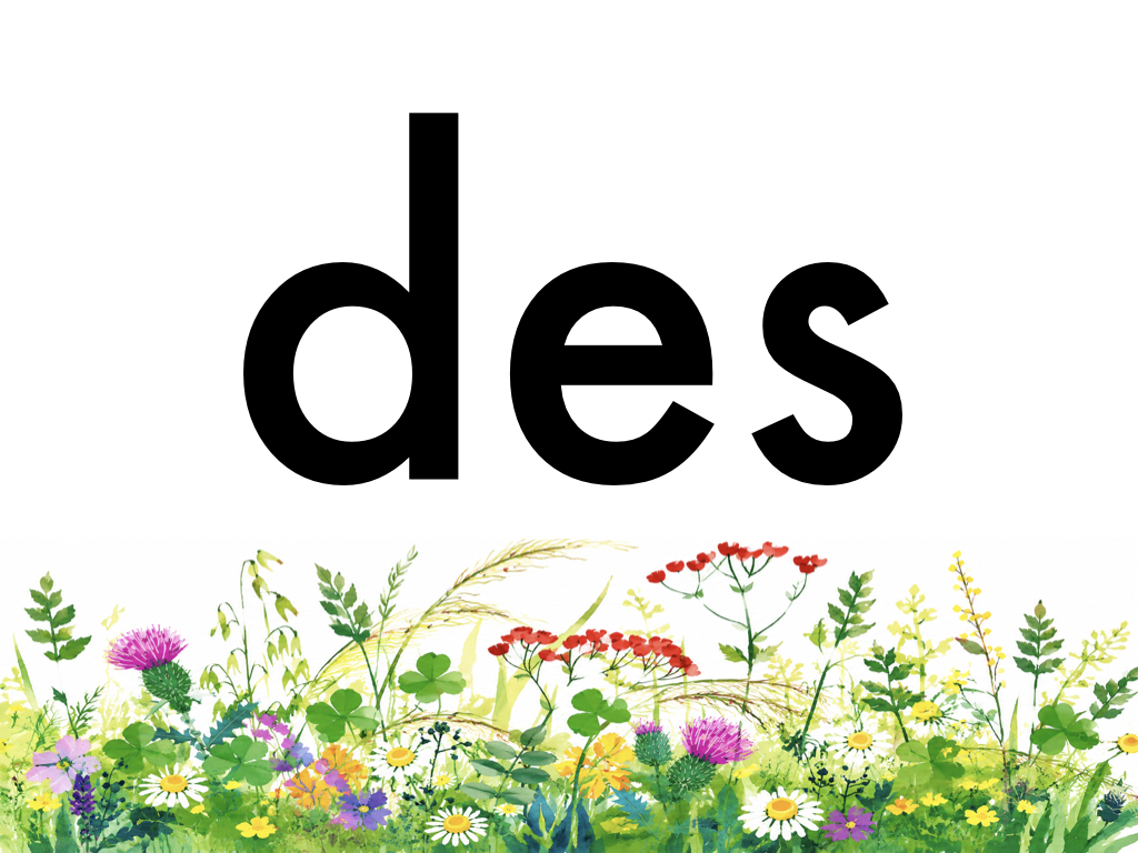 3P Mots fréquents_5