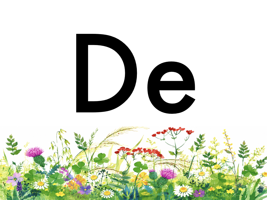 3P Mots fréquents_9