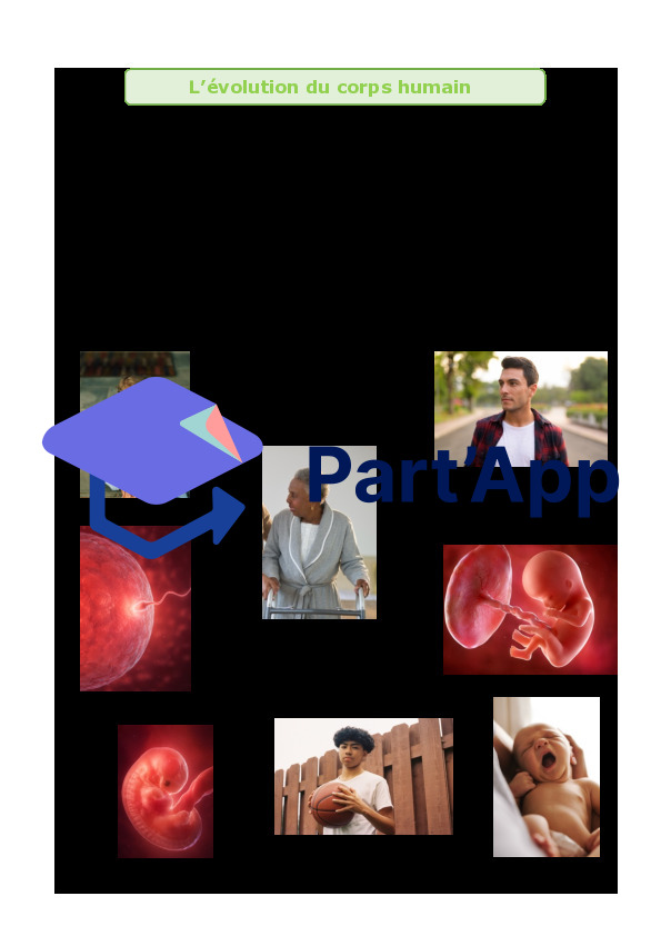Dossier Transformation du Corps humain - Sciences 7H-8H_4