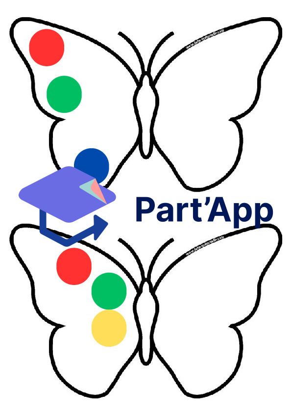 Symétrie papillon_3