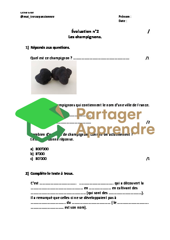 Les champignons partie 2_2