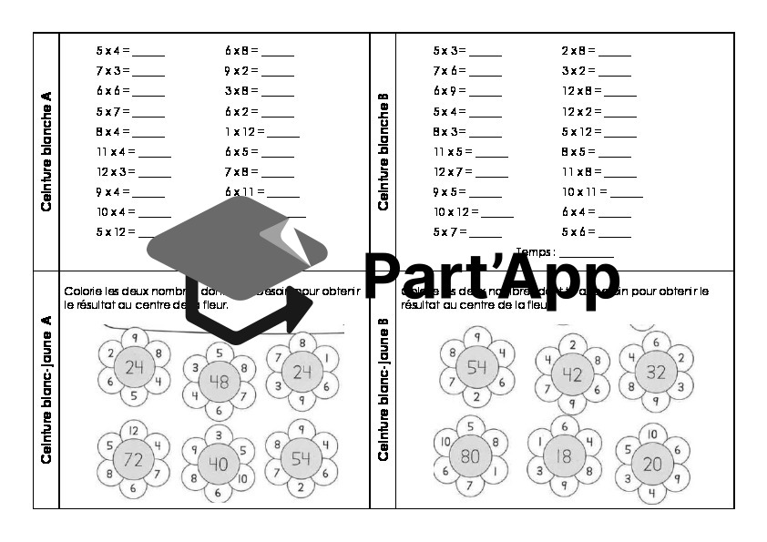 Ceintures de livrets 7H_32