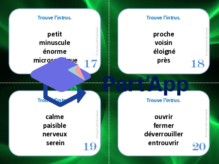 Synonymes : Trouve l'intrus - 28 CÀT_26