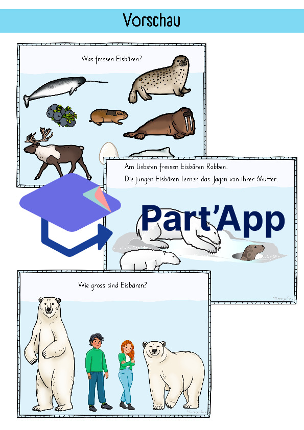 Bildkarten Eisbär_114