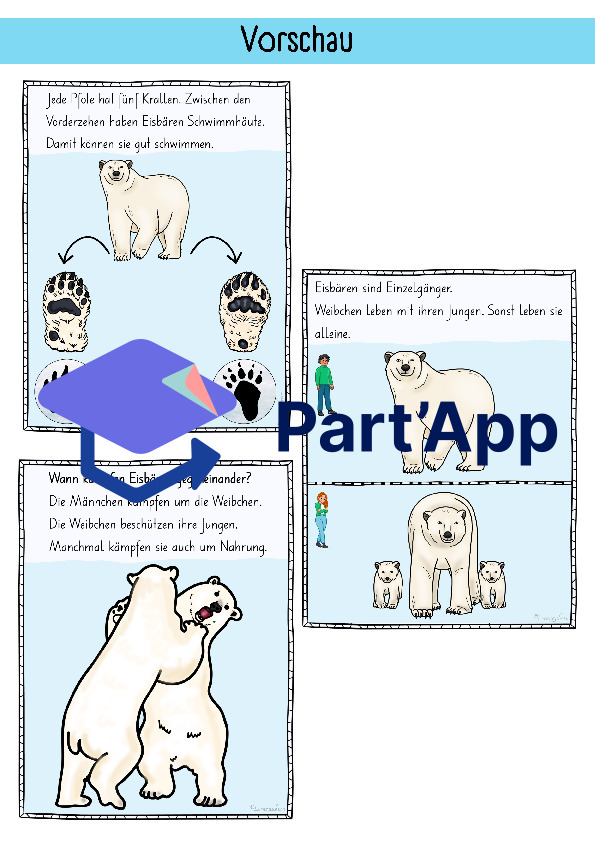 Bildkarten Eisbär_116