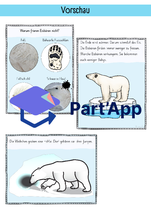Bildkarten Eisbär_117