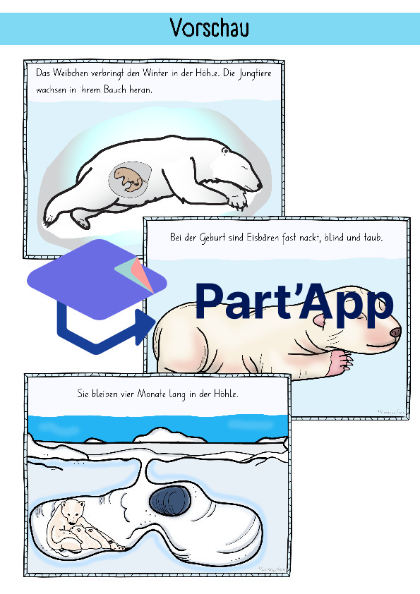 Bildkarten Eisbär_118