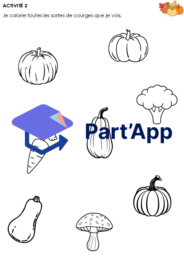 Dossier sur la courge_4