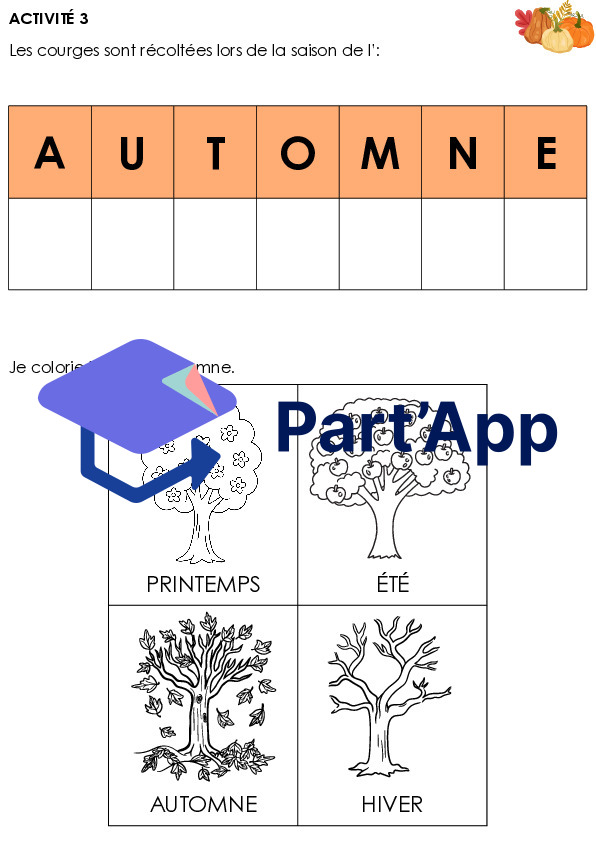 Dossier sur la courge_5
