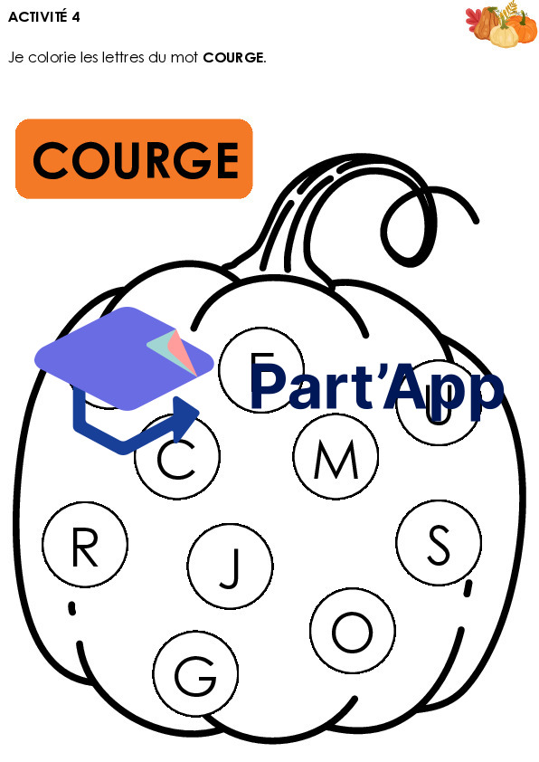 Dossier sur la courge_6