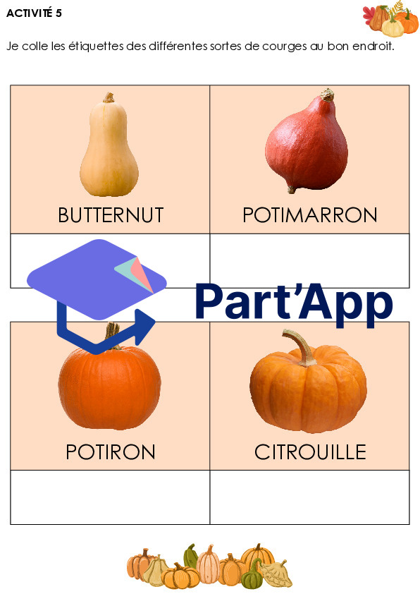 Dossier sur la courge_7