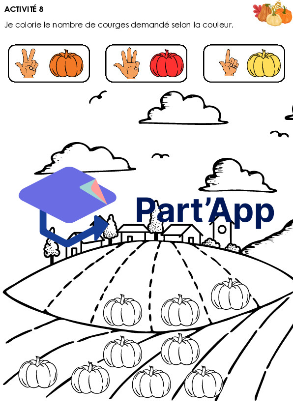Dossier sur la courge_10