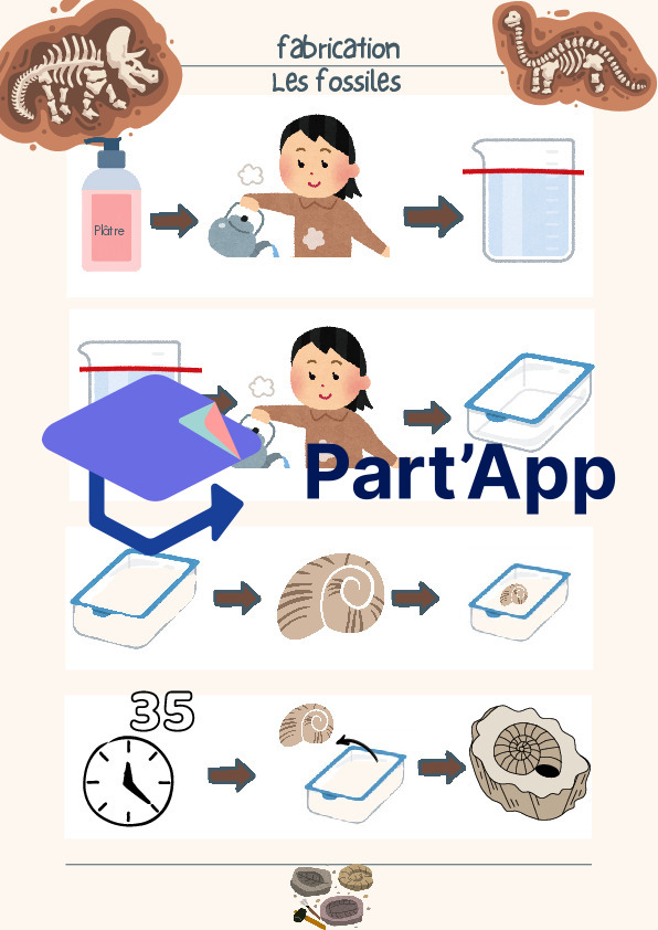 TP Sciences : Fabriquer des Fossiles – Pack Complet Élève & Enseignant (Expérience Clé en Main)_2