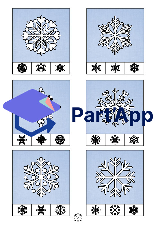 Cartes à agrafer Flocon de neige Ombre_20