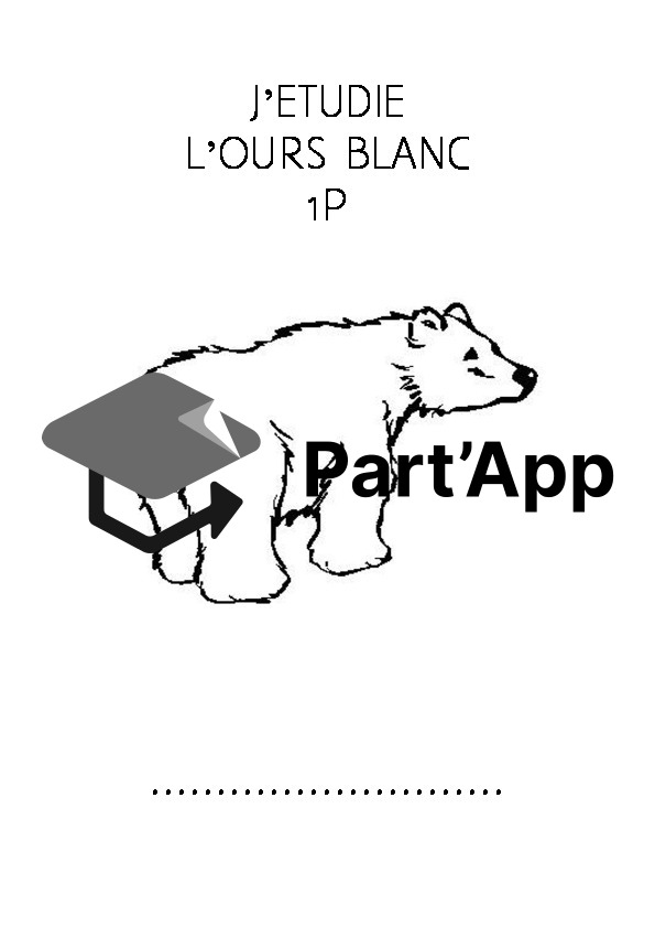 J'étudie l'ours blanc_2
