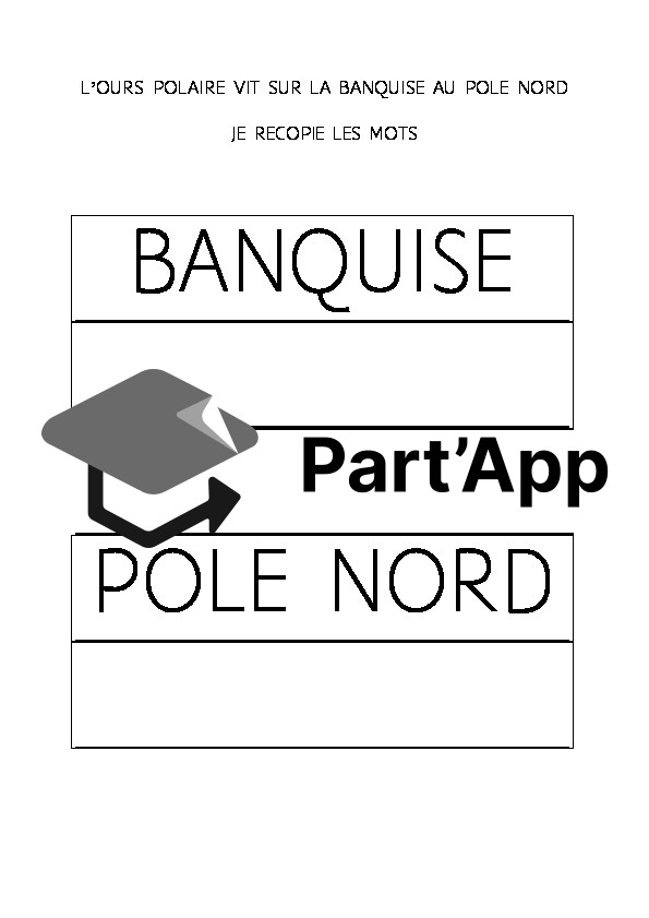 J'étudie l'ours blanc_4