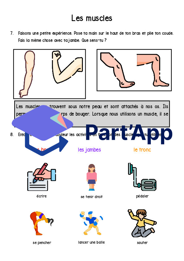 Le corps humain_10