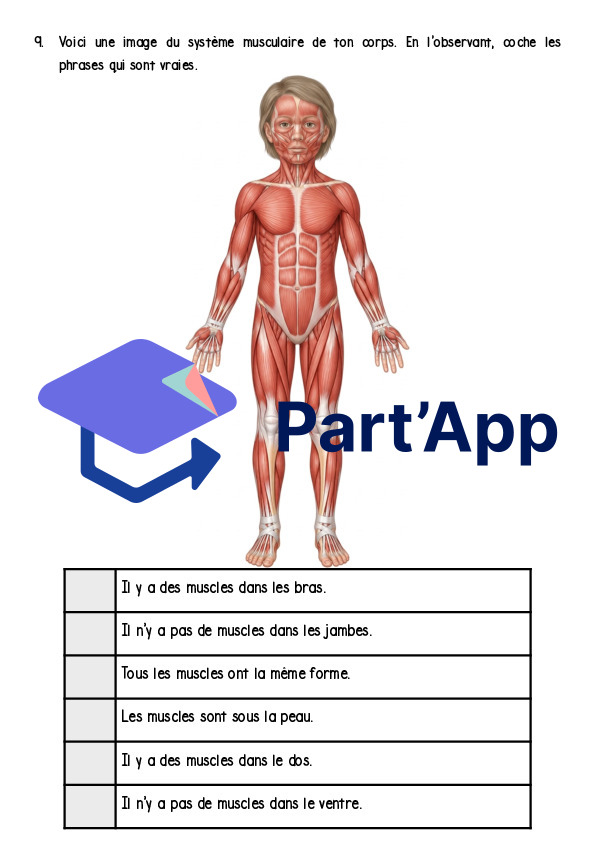 Le corps humain_11