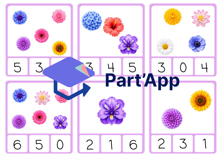 Fleurs - Cartes à pinces_2
