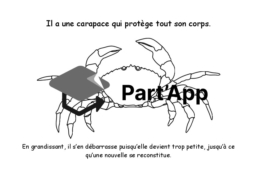 Dossier sur le crabe_4