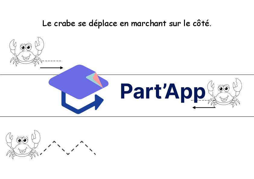 Dossier sur le crabe_7