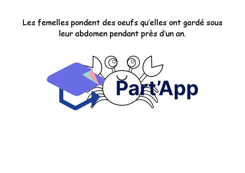 Dossier sur le crabe_8