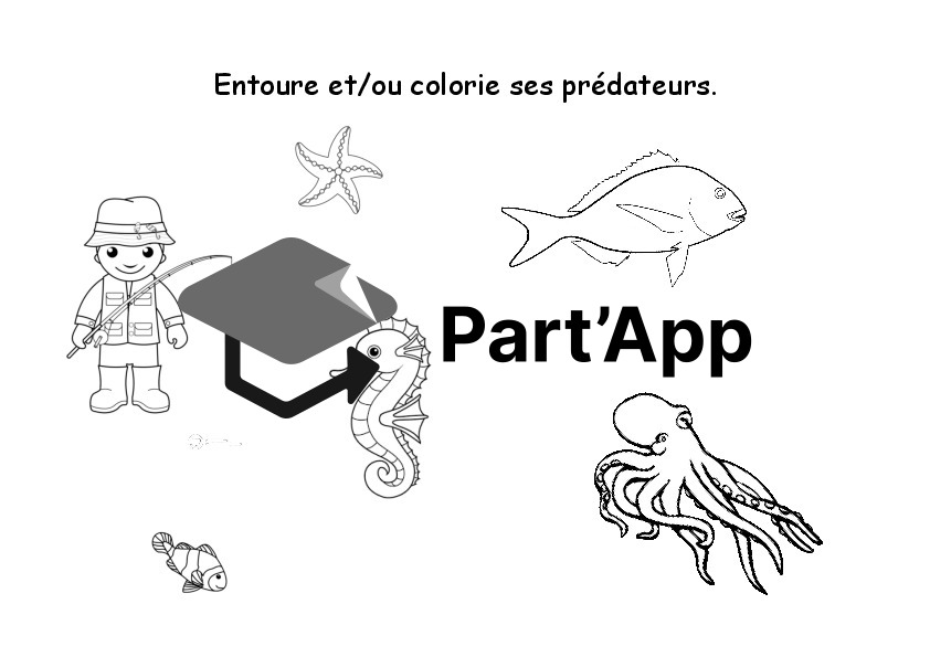 Dossier sur le crabe_9