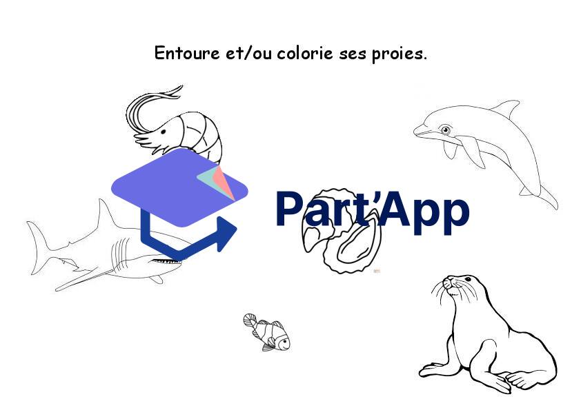 Dossier sur le crabe_10