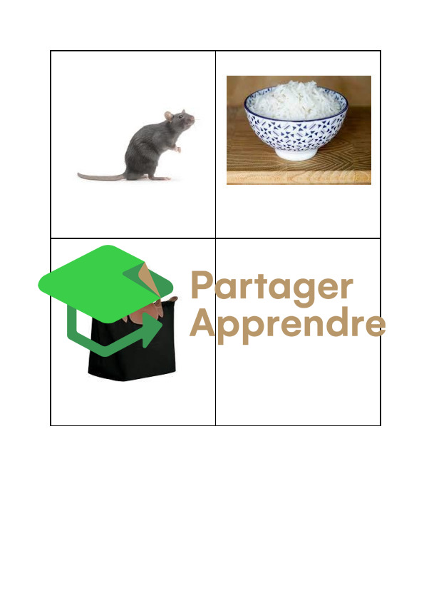 atelier composition de mots code couleur C. Alvarez_8