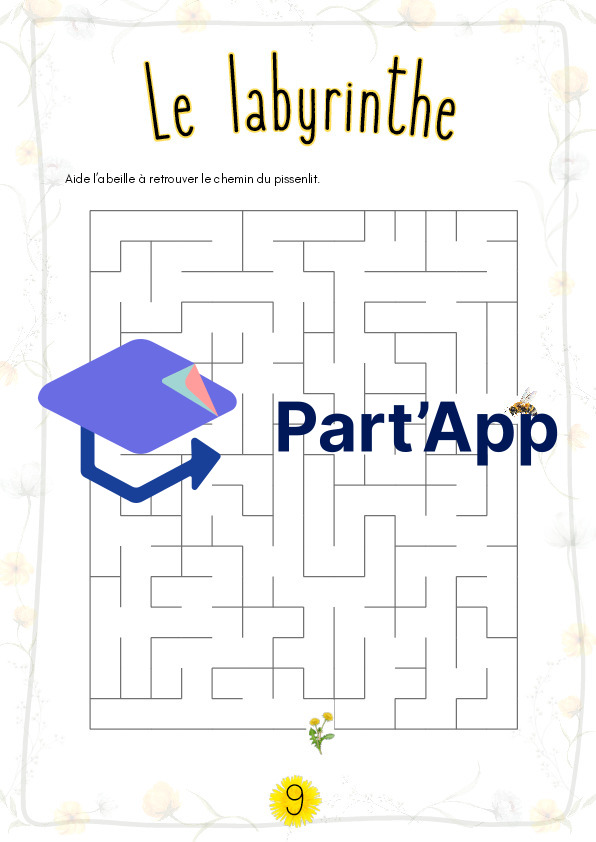Le pissenlit ou la dent-de-lion_12
