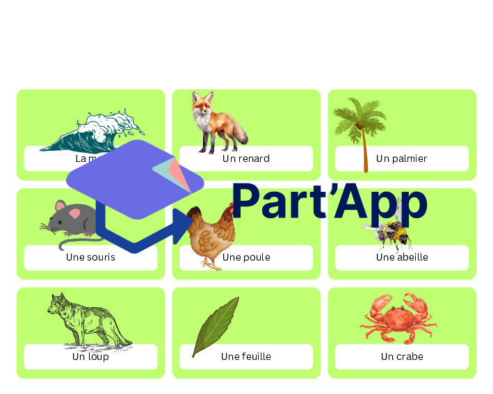 Cartes mots / vocabulaire_3