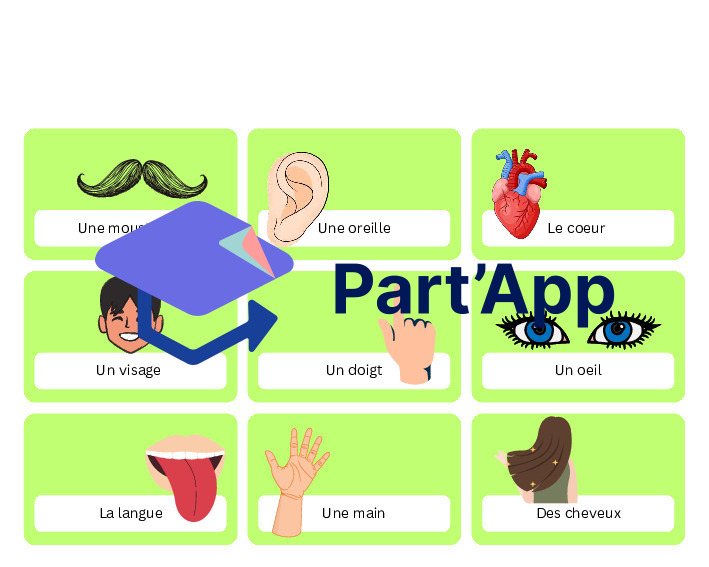 Cartes mots / vocabulaire_8