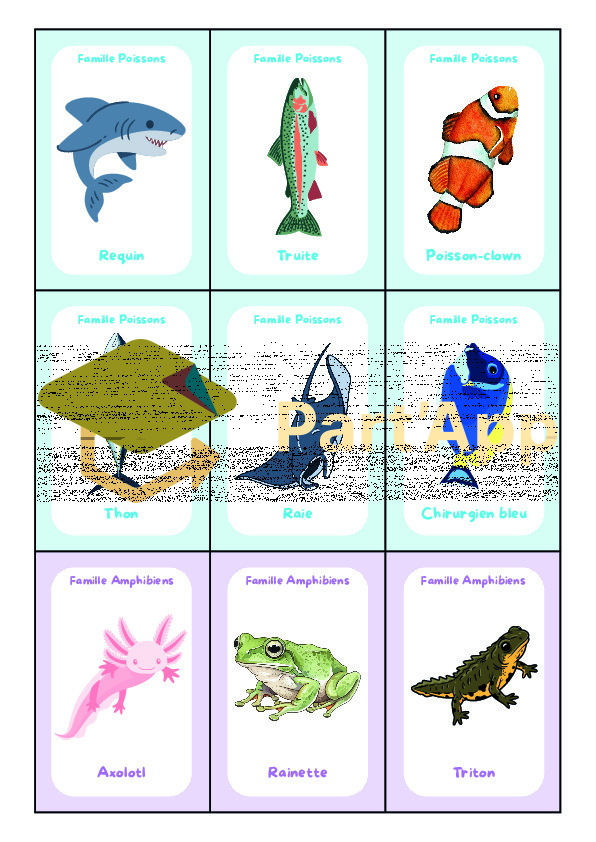 5-8P : Classification animale - Les 7 familles_7