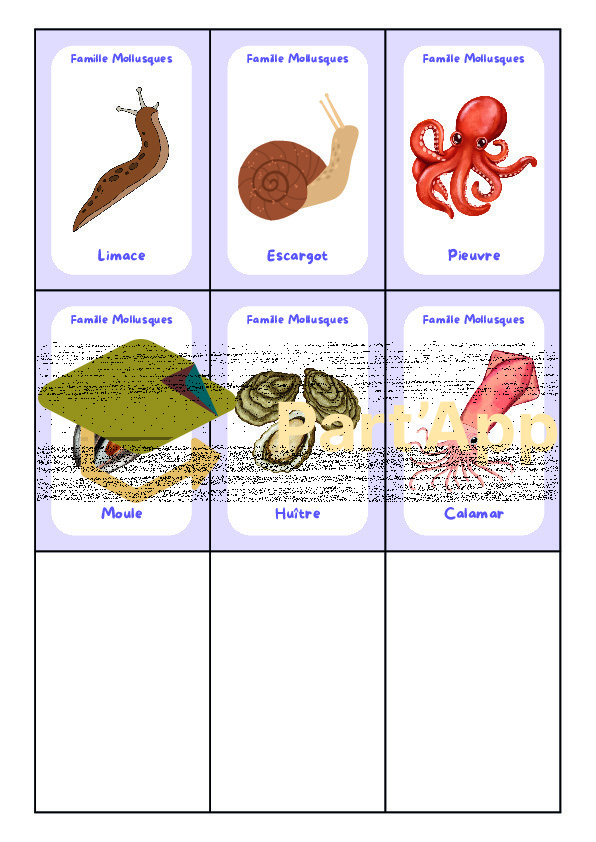 5-8P : Classification animale - Les 7 familles_11
