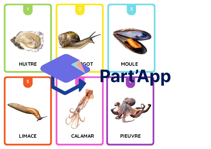 jeu des 7 familles, classification animale_2