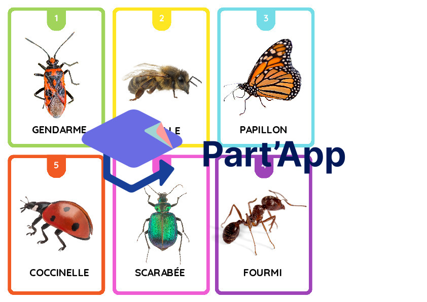 jeu des 7 familles, classification animale_3